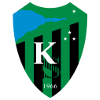 ทีมฟุตบอล โคแคลิสปอร์